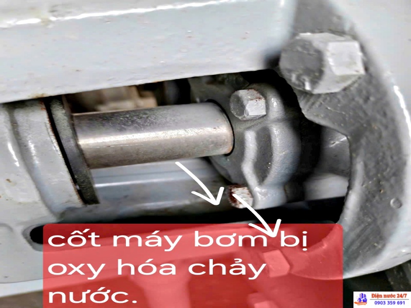 Sửa, thay cốt máy bơm nước tận nơi - giá rẻ