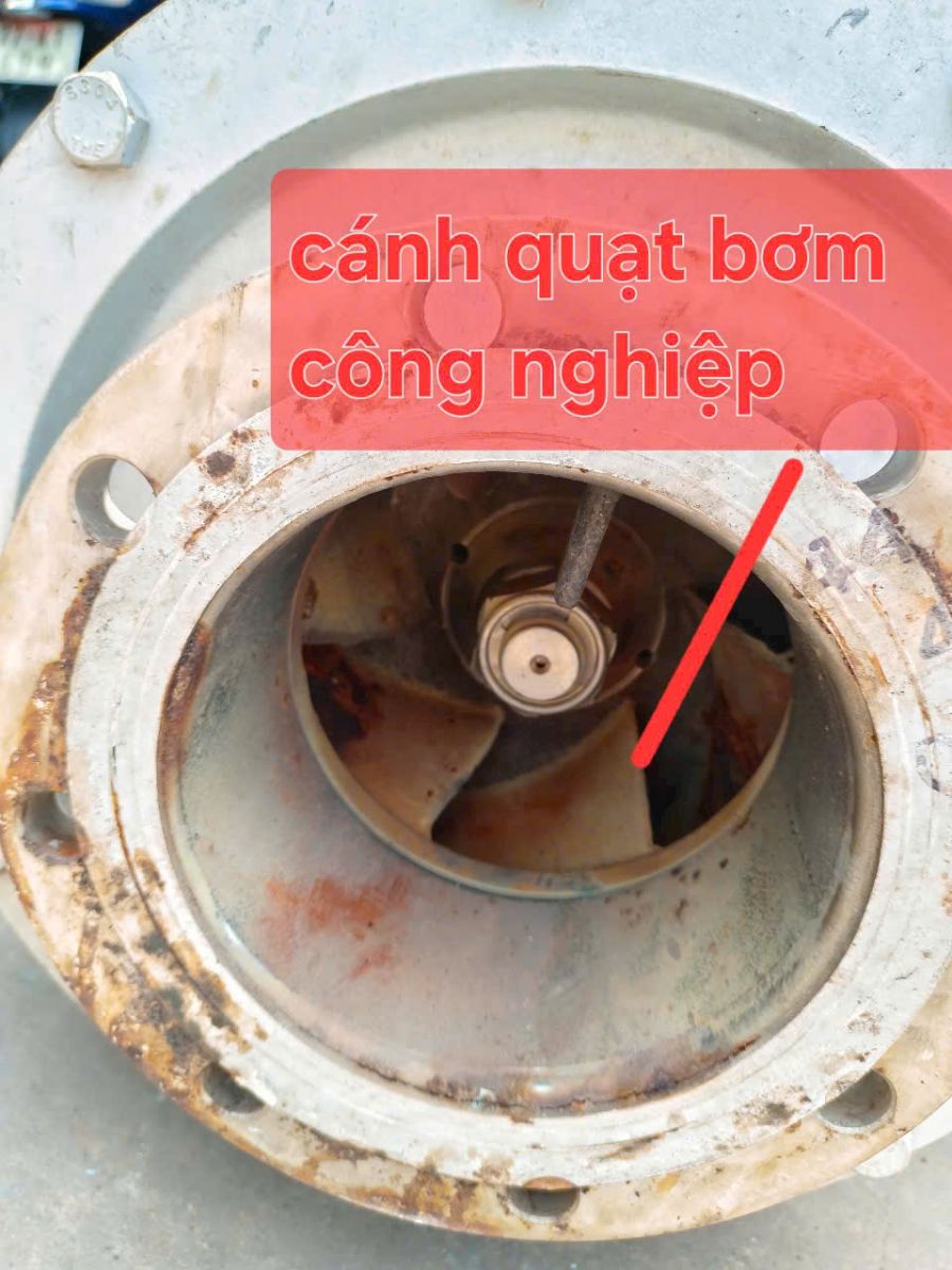 Sửa cánh quạt tận nơi - uy tín